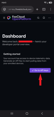 5-Select-Go to API Keys.png